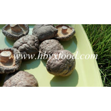 Класс натуральный высушенный овощ гладкой гриб Шиитаке